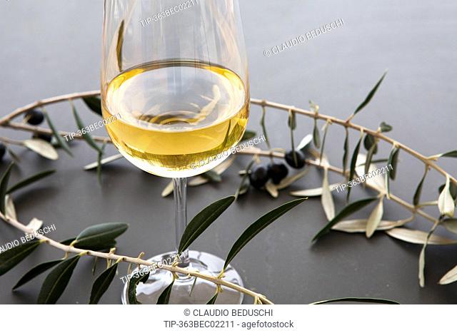 glass of white wine, branch of black olives, rosemary and olive leaves