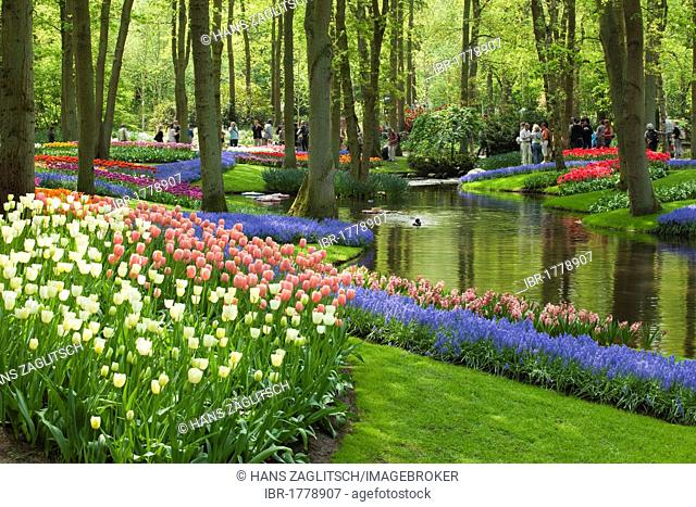 Annual flower show with mostly tulips, Keukenhof flower garden, Lisse, North Holland province, Netherlands, Europe