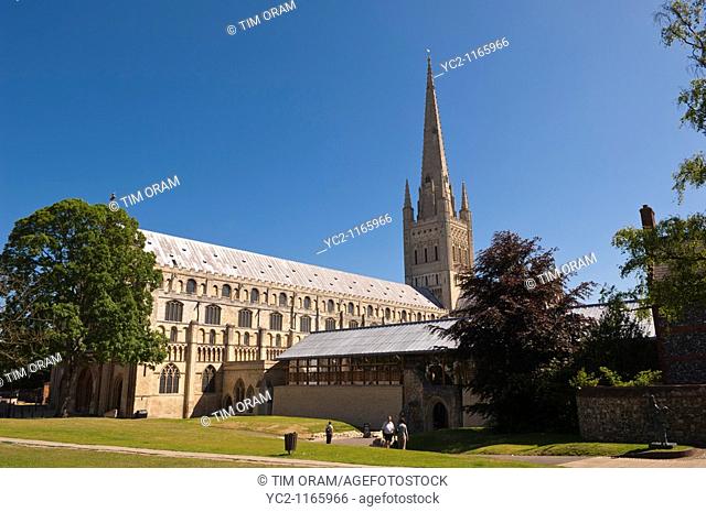 Norwich Cathedral in Norwich , Norfolk , England , Great Britain , Uk