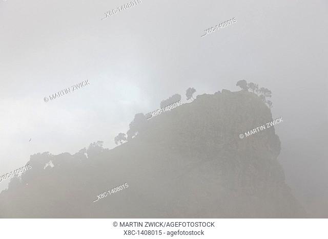Landscape in the Simien Mountains National Park  During the rainy season every day clouds are building up at the edge of the escarpment resulting in heavy...