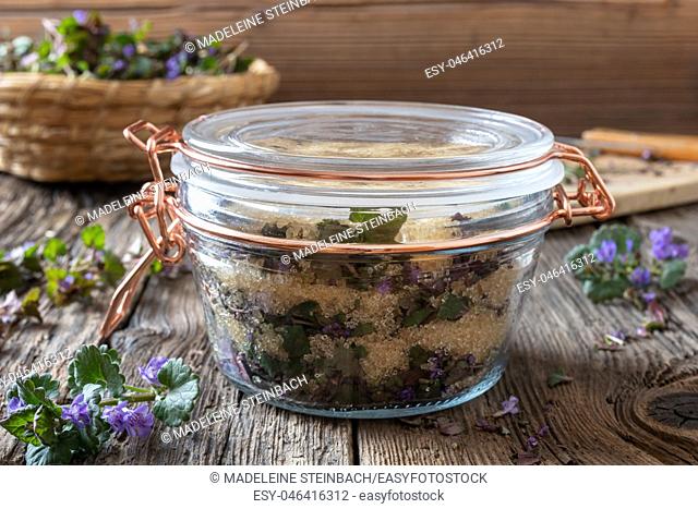 Preparation of homemade syrup against cough from fresh ground-ivy and cane sugar