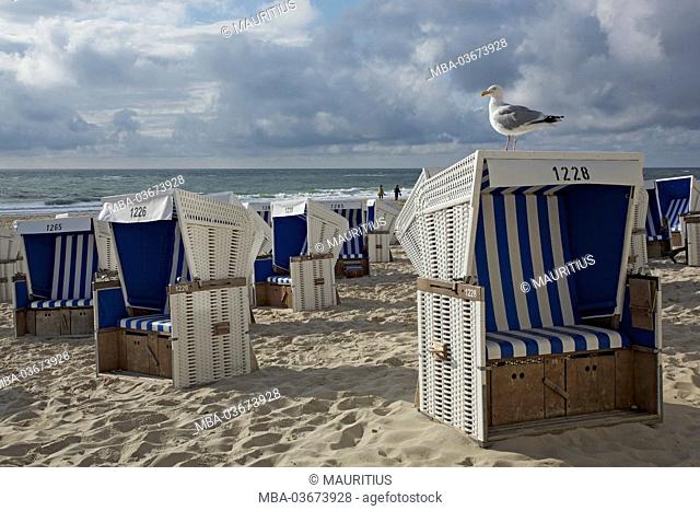 Gull on the beach chairs on the beach of the North Sea in front of Westerland (seaside resort) on the island of Sylt