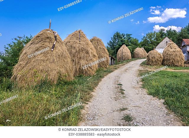 Haystacks on a farm between Guca town and Vuckovica village in Lucani municipality, Moravica District of Serbia
