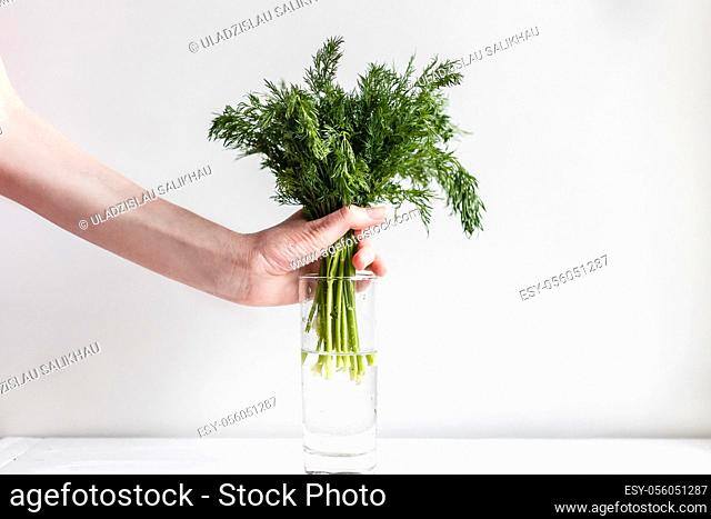 Female hands put fresh fennel into a glass with water