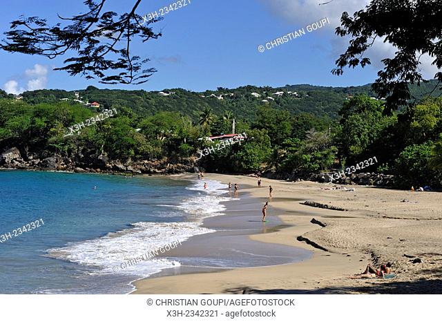 Leroux beach, between Deshaies and Pointe-Noire, Basse-Terre, Guadeloupe, overseas region of France, Leewards Islands, Lesser Antilles, Caribbean