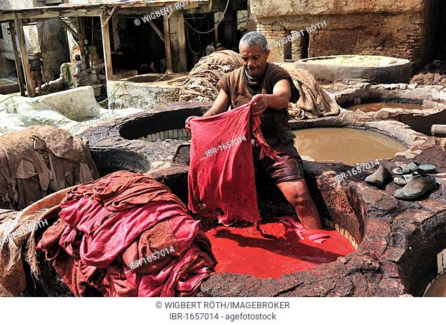 Worker standing in a vat of red paint to dye leather in a tannery, tanners and dyers quarter, Fez, Morocco, Africa, Africa