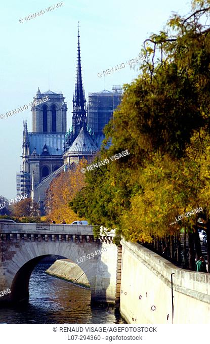 Notre-Dame and Île Saint-Louis in the fall. Paris. France