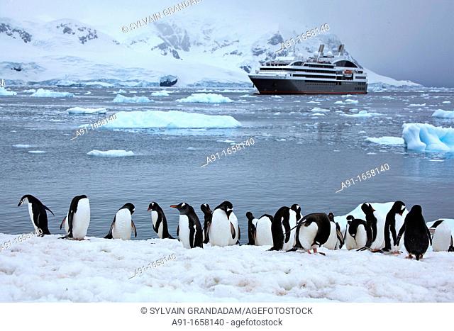 Le Boréal cruise ship, Neko Bay, Antarctica