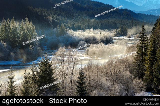 Landscape during winter at river Isar between Vorderriss and Wallgau in the Karwendel mountain range. A Protected area and one the last remaining natural...