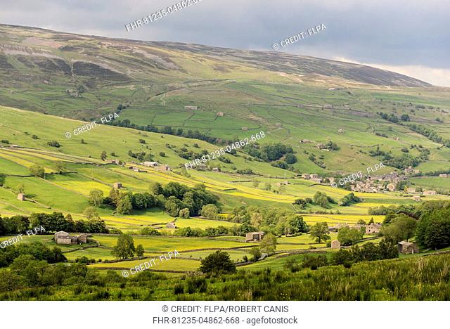 View of valley farmland, looking towards Satron and Gunnerside, Yorkshire Dales N.P., Yorkshire, England, June