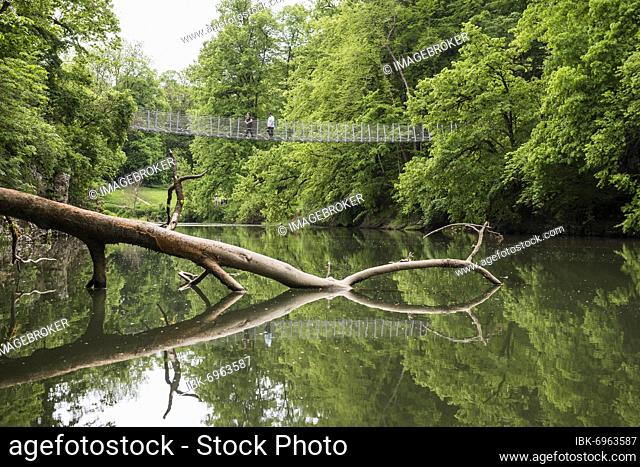 Suspension bridge at the Amalienfelsen, Inzigkofen, near Sigmaringen, Upper Danube nature park Park, Upper Danube Valley, Danube, Swabian Alb, Baden-Württemberg