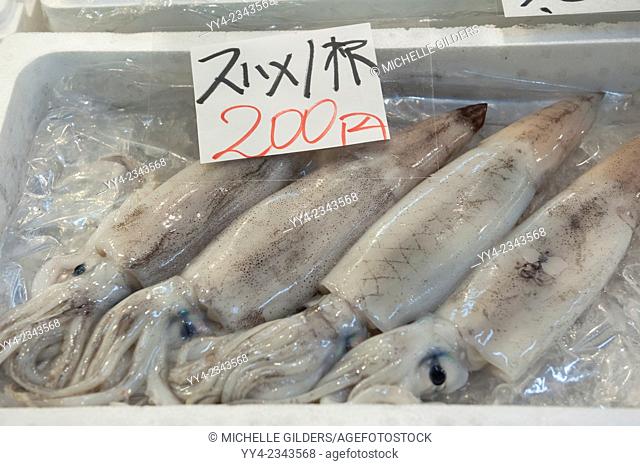 Fresh squid, Yari-Ika, for sale, Tsukiji Fish Market, Tokyo, Japan