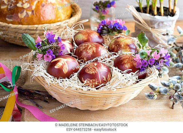 Easter eggs dyed with onion peels with a pattern of fresh herbs in a wicker basket, with lungwort flowers and pussy willow