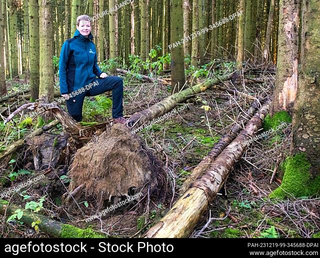 06 November 2023, Baden-Württemberg, Deggingen: Forester Diana Tröger stands in a forest next to fallen trees. Large areas of the forest are privately owned