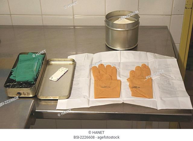 Photo essay in clinic. Surgical material used during an ovariectomy ablation of the ovaries : surgical gloves, compresses, operating area green sheet, clamps