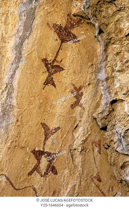 Cave paintings, Cave of The Letreros, Velez Blanco, Almeria-province, Spain