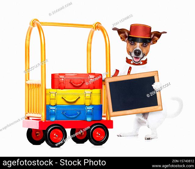 jack russell dog pushing a hotel Luggage Cart or trolley full of luggage and bags, ready to check in , in a pet friendly hotel