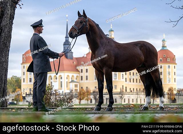 PRODUCTION - 16 November 2023, Saxony, Moritzburg: Phil Teifel, stud keeper at Moritzburg State Stud, stands in front of the former Wettin hunting lodge near...