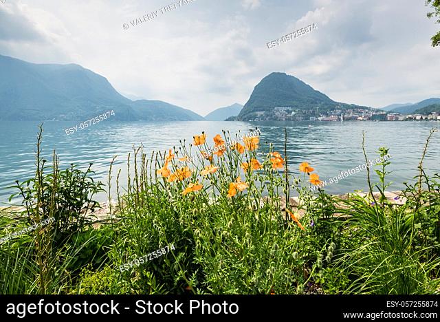 View at the bay of Lugano from the botanical garden of the city, Switzerland. Poppies in the foreground