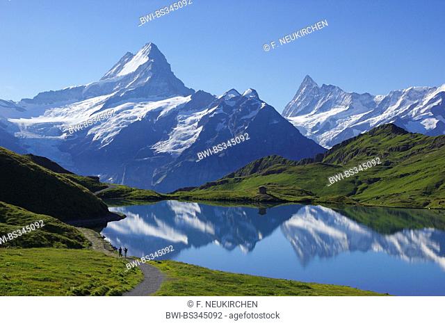 Schreckhorn and Finsteraarhorn mirroring on lake Bach near Grindelwald, Switzerland