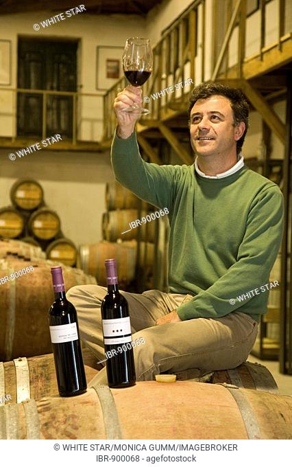 Wine cellar in the country house, Mateus at Vila Real, of Paulo Ruao, Oenologist of the Lavradores de Feitoria wine cellars in the Douro region in North...