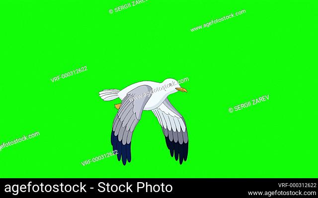 Seagull flies and soars in the sky. Handmade animated looped footage isolated on green screen