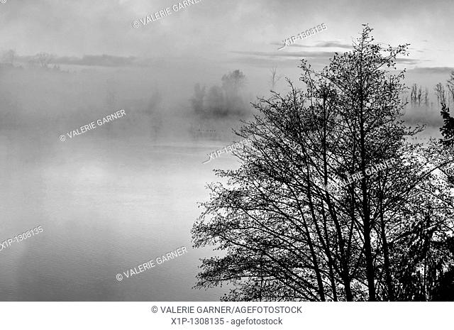 This nature stock image is a foggy morning on a lake at sunrise with the misty rising up off the water Trees in the foreground add further interest to this...