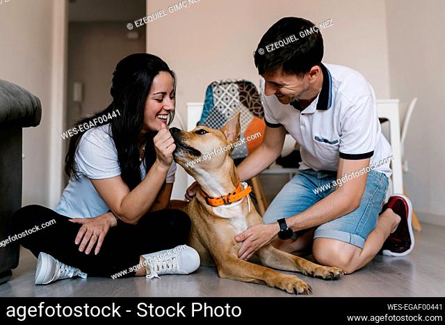 Couple playing with dog while sitting on floor at home