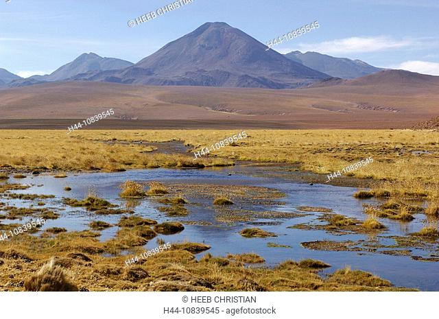Chile, South America, Andes Mountains, Vado Rio Putana, near San Pedro de Atacama, Altiplano, Antofagasta, landscape