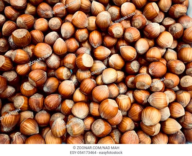 hazelnuts, pile of nuts, hazelnut background -