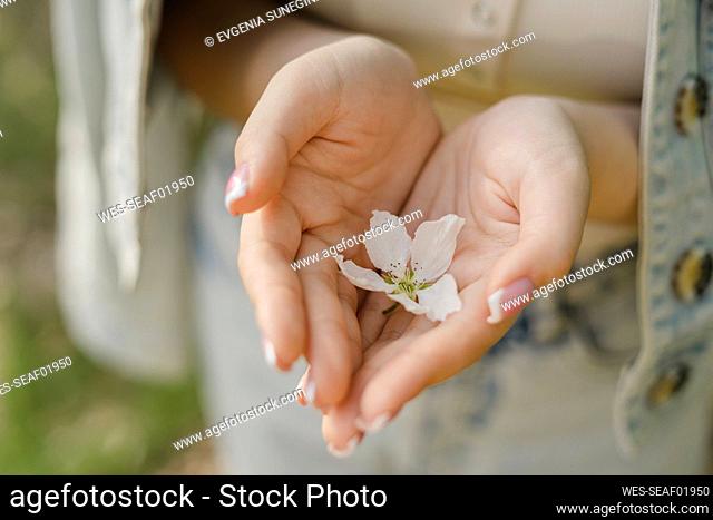 Close-up of young woman holding white flower