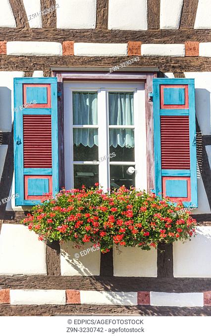 flower decked window with wooden turquoise colored shutters, schiltach, black forest, baden-wuerttemberg, germany