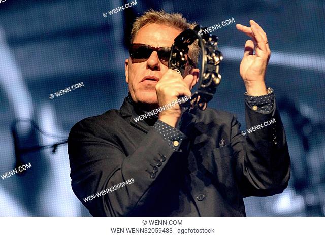 Camp Bestival 2017 - Day 3 - Performances Featuring: Suggs, Madness Where: East Lulworth, Dorset, United Kingdom When: 29 Jul 2017 Credit: WENN.com