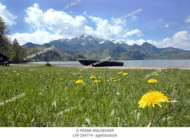 Spring at Lake Kochel with Herzogstand Mountain in the background, Upper Bavaria, Germany