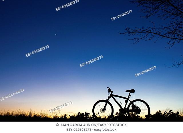 Silhouette of MTB bike at sunset under tree on blue sky with venus planet