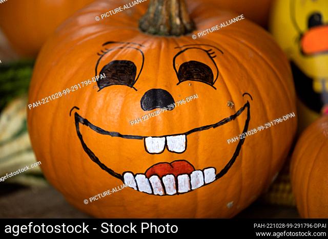 26 October 2022, Lower Saxony, Osnabrück: Pumpkins with painted faces lie in the display of a yard with store sale. The Jack-O'Lantern custom forms the basis of...