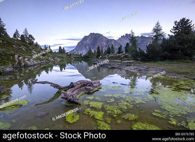 Morning atmosphere at the lake Lago de Limides and Tofana di Rozes, with water reflection, Dolomites, Alps, South Tyrol, Italy, Europe