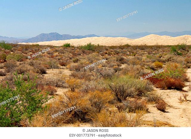 Kelso Dunes in California