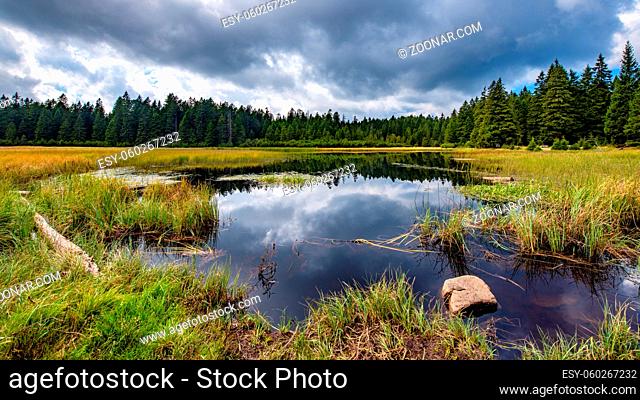 Black lake and marshes, forest in background on Pohorje mountain, Slovenia. Crno jezero is near Osankarica and Rogla and very popular hiking place all year long