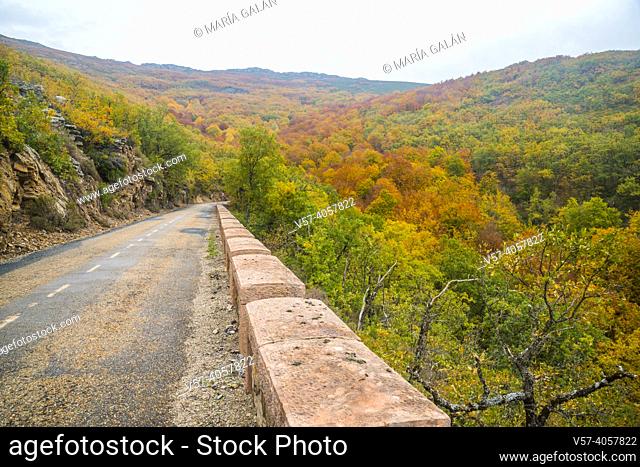 Road to La Quesera mountain pass and La Pedrosa beech forest. Riofrio de Riaza, Segovia province, Castilla Leon, Spain