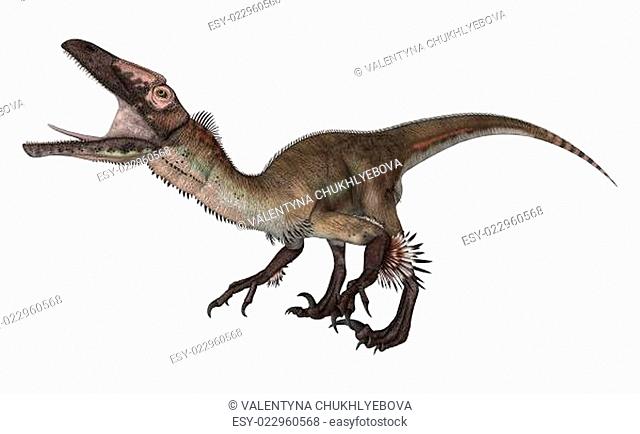 Dinosaur Utahraptor