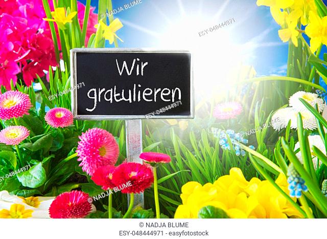 Sign With German Text Wir Gratulieren Means Congratulations. Sunny Spring Flower Meadow With Daisy, Narcissus, Primrose And Hyacinth