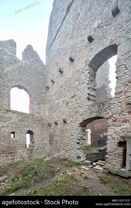 Homburg ruin, castle ruin, autumn, fog, Gössenheim, Karsbach, Main-Spessart, Franconia, Bavaria, Germany, Europe