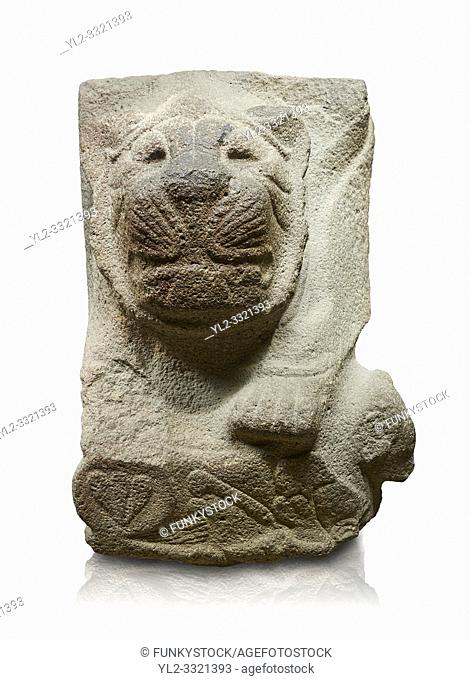 Alaca Hoyuk - Hittite lion sculpture corner Stone . Andesite. Alacahoyuk, 1399 - 1301 B. C. Anatolian Civilisations Museum, Ankara, Turkey.