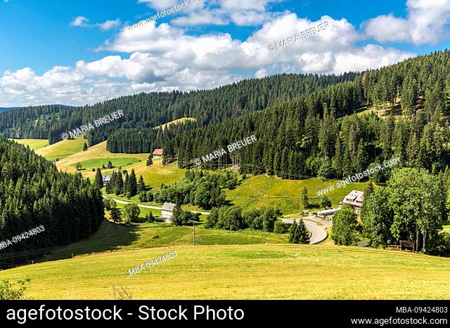 Landscape near Schönwald, Black Forest, Baden-Wuerttemberg, Germany, Europe