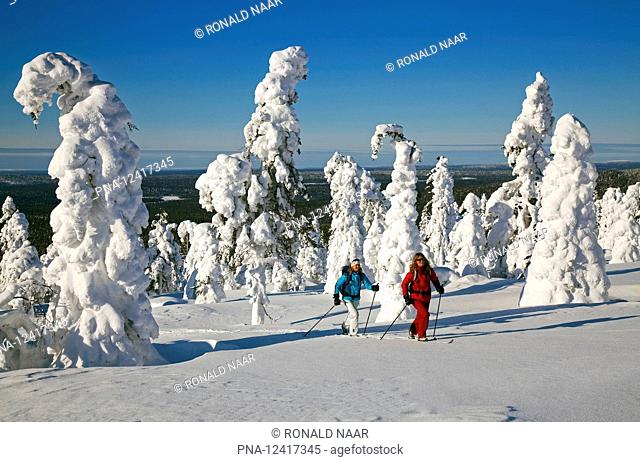 Crosscountry skiing on Kesanki in Finnish Lapland