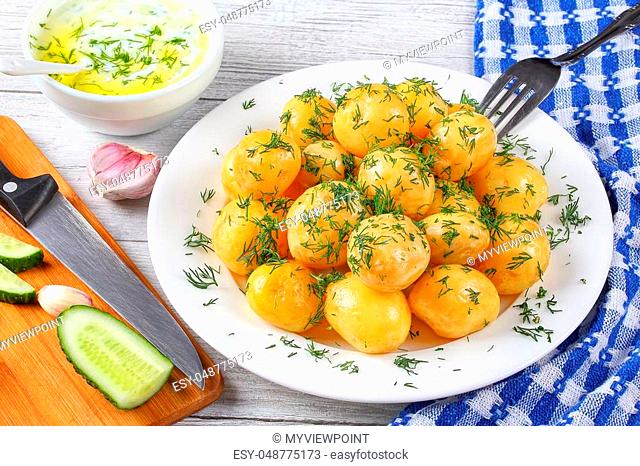 delicious new potatoes sprinkled with finely chopped dill on white plate with organic greek yogurt, garlic, cucumber, olive oil sauce or tzatziki and...