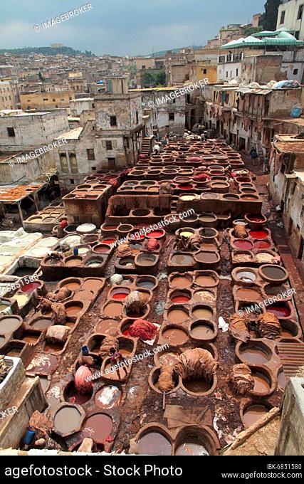 Leather tanning and dyeing in the old town of Fez Morocco