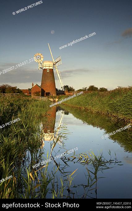 Stracey Arms Mill reflecting in Dyke, Norfolk Broads National Park, Norfolk, East Anglia, England