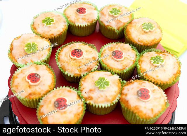SYMBOL - 16 September 2023, Baden-Württemberg, Rottweil: Cupcakes laid out on a table at a champagne reception at a wedding. Photo: Silas Stein/dpa